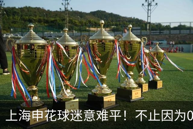 上海申花球迷意难平！不止因为0-2上海海港，更多在于以下五点！
