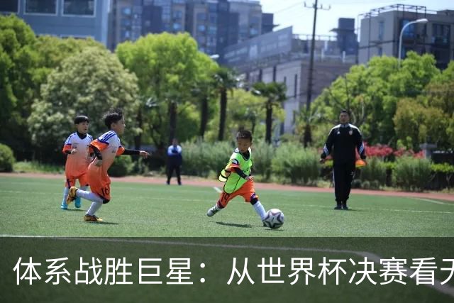 体系战胜巨星：从世界杯决赛看无单点故障的平台化组织战略