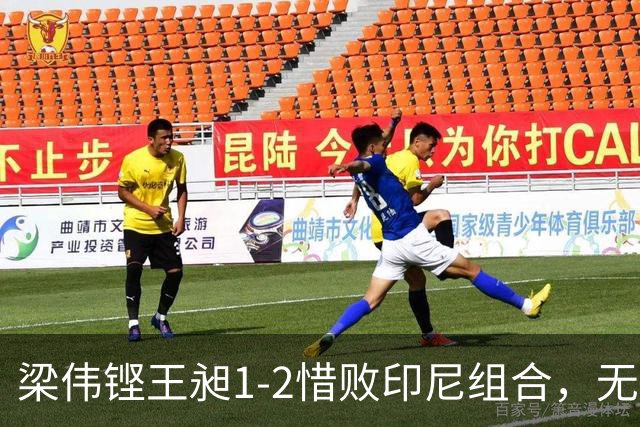 梁伟铿/王昶1-2惜败印尼组合，无缘中国羽毛球公开赛男双决赛