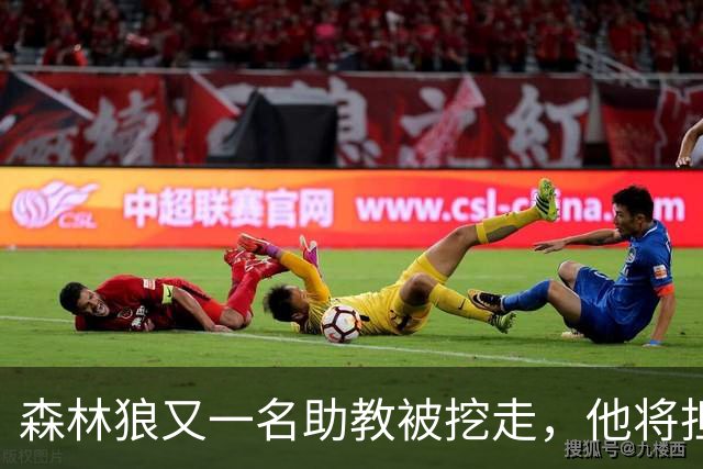 森林狼又一名助教被挖走，他将担任法甲联赛劲旅的新任主教练